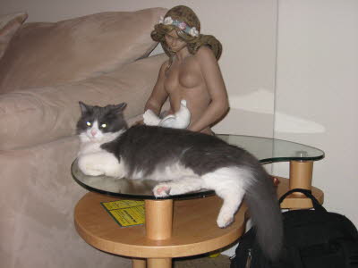 Calin Aug 07 (6)