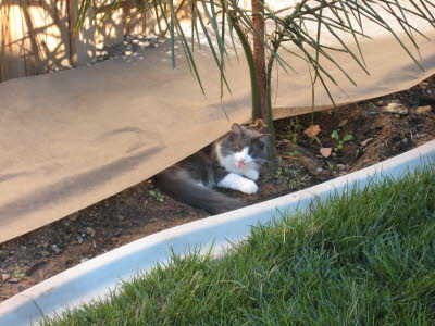 Enjoying roseville in 07