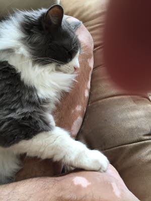 Hanging with dad