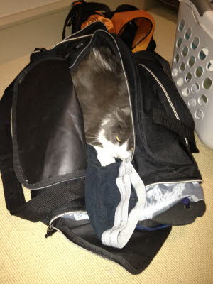 Hiding from Travel