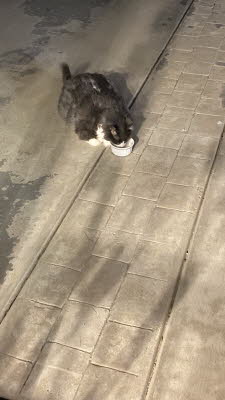 Ice Cream on the Patio