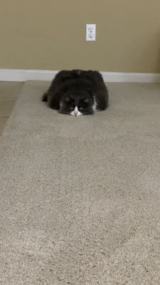Just hanging out