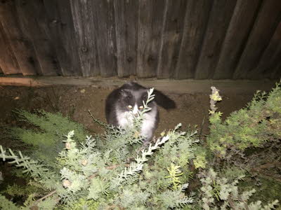Outdoors late at night