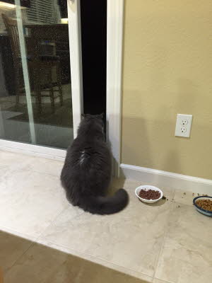 Raining and wanting to go out