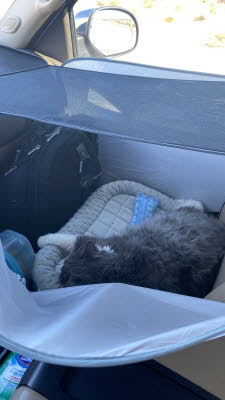 Texas road trip