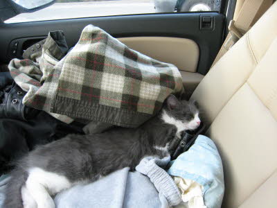 Texas to CA trip 1