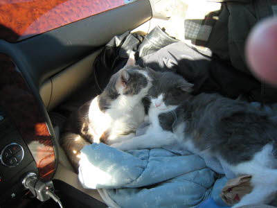 Texas to CA trip 2