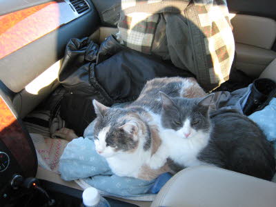 Texas to CA trip