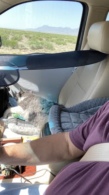 Traveling to Texas