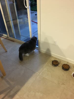 its raining and she's impatient